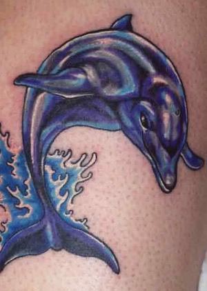 Dolphin tattoos represent that fascination we humans have with these highly 